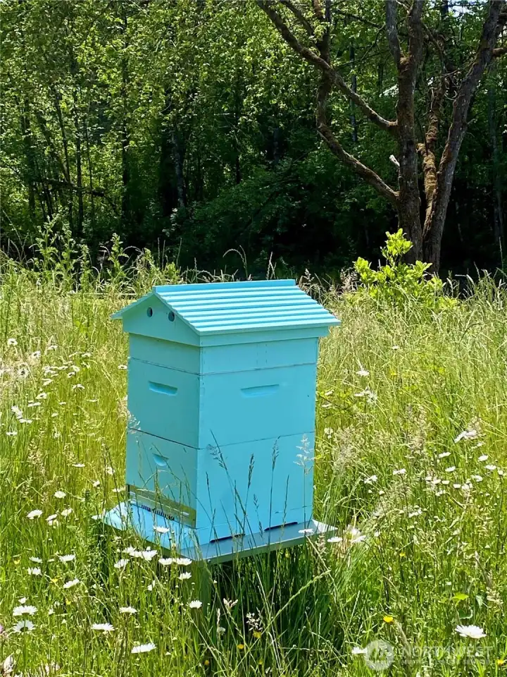 Happy honey bees