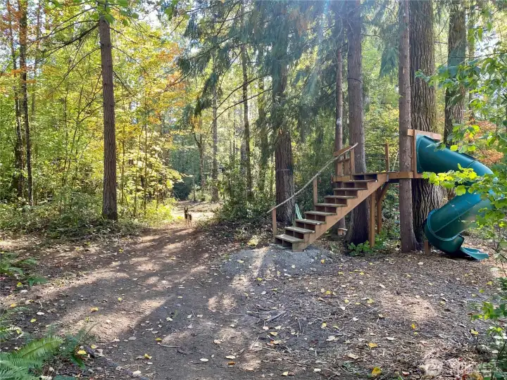 Access to the forest fort