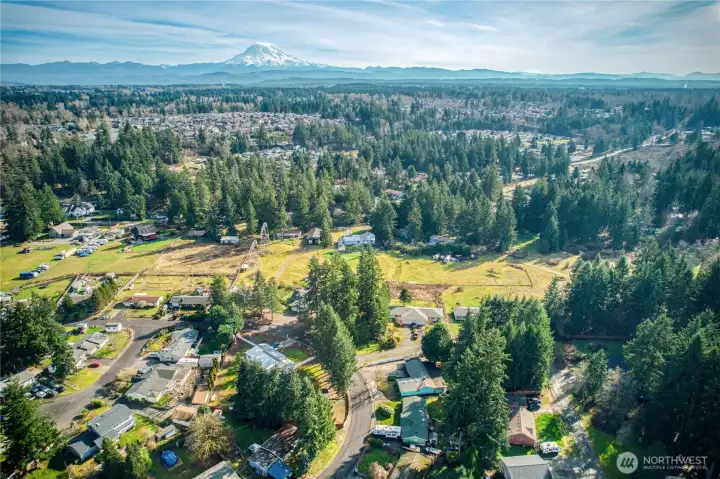 Check out Mt. Rainier!