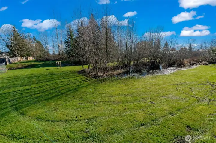 Community park behind the backyard