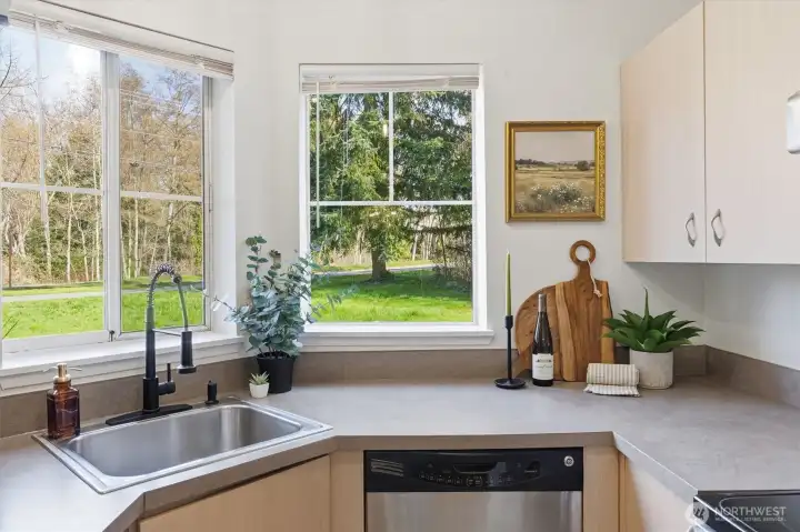 Windows for great natural light