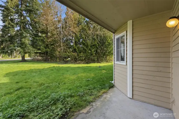 Covered back patio and lawn space