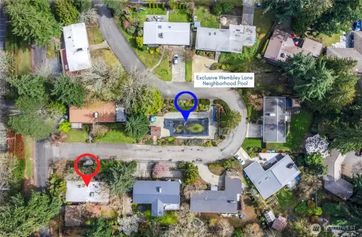 Private shared community pool serving a small enclave of just 10 homes—rare amenity offering a resort-style feel.