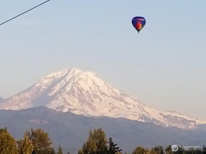 Hot air balloons frequent the sky in spring/summer and the Mt. Rainier backdrop is stunning!