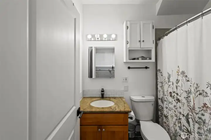 Lower Unit Bathroom