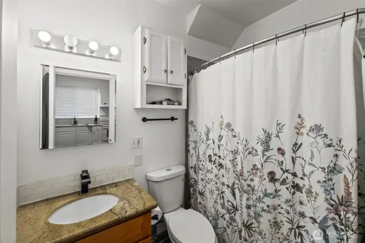 Lower Unit Bathroom