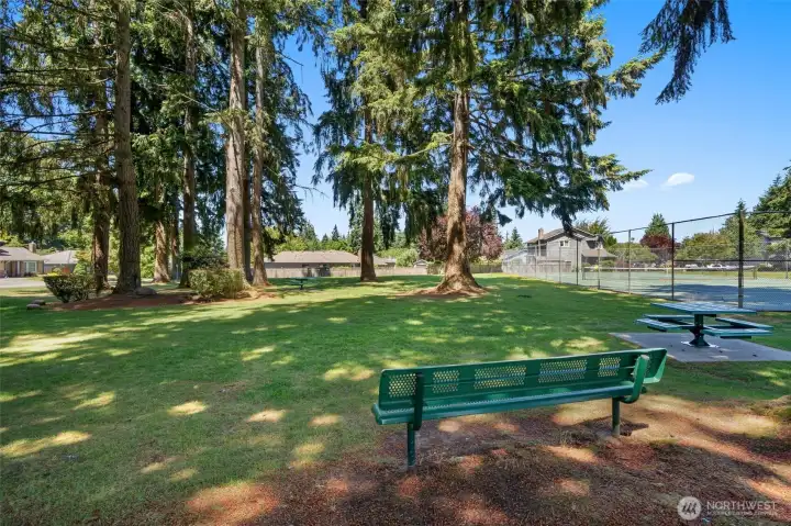 Community Park
