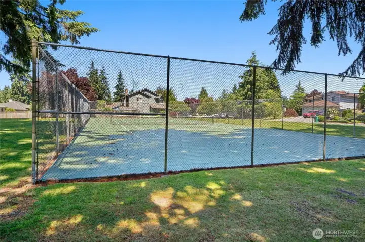 Community Park Community Park