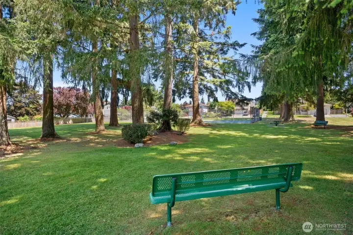 Community park