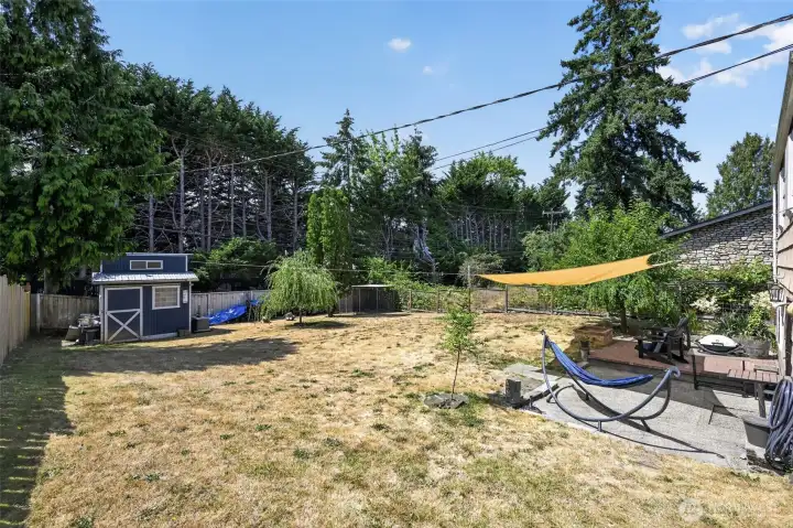 Mostly level lot with trees from the Trees for Neighborhood programs