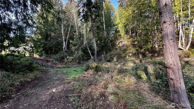 End of driveway/back of property