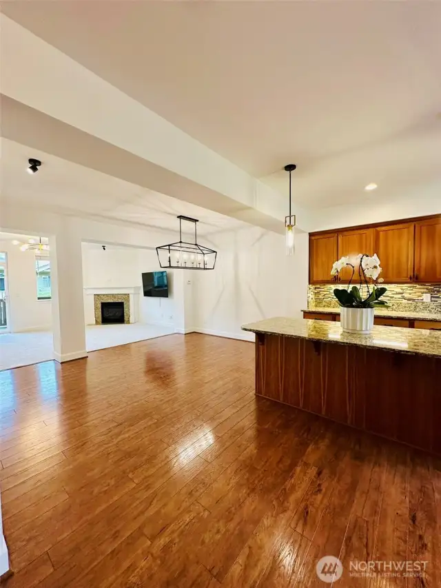 New Art lighting in dining room and above gas fireplace. Extra large Dining room with New Chandelier and New Paint throughout home.
