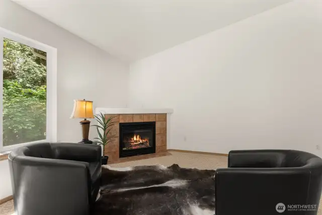 gas fireplace