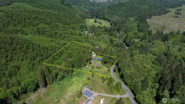 So much privacy!! Alder ready to harvest in less than 10 years and some old growth!!