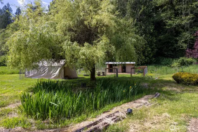 Pond with goat sheds
