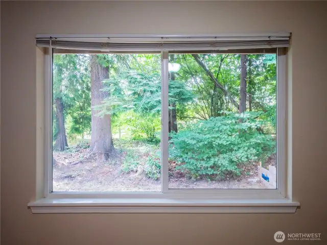 RELAXING BACKYARD OUT BEDROOM WINDOW OF 1433