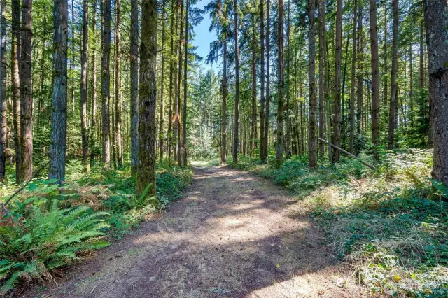 A rare opportunity to live close to nature without sacrificing convenience