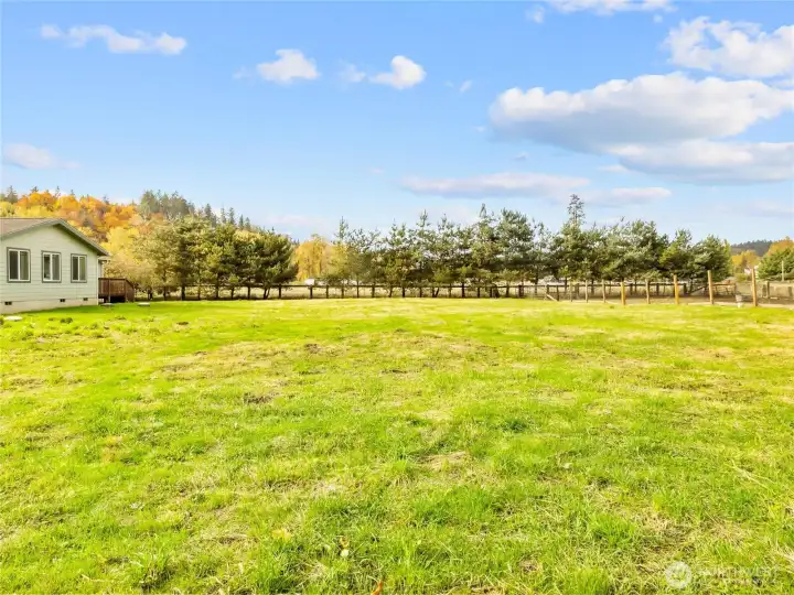 Mature landscape creates privacy surrounding the home