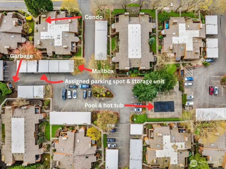 Layout of the complex in relation to the condo.