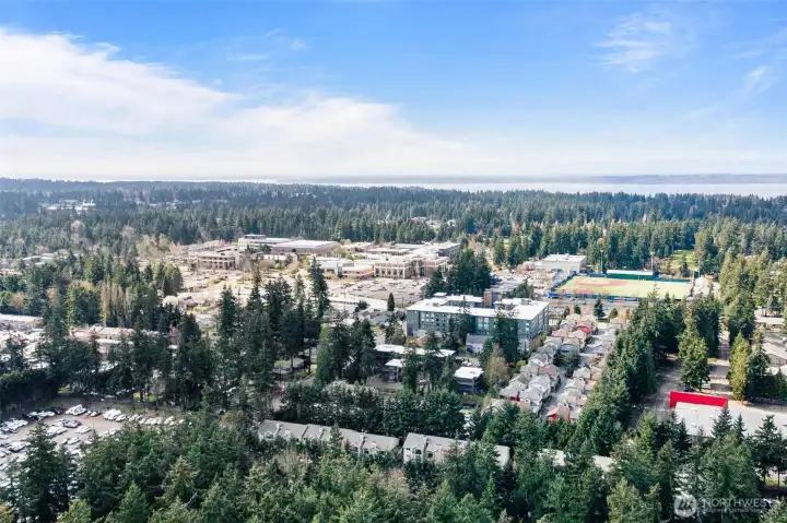 Walk to Edmonds College!