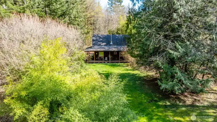 House through the woods