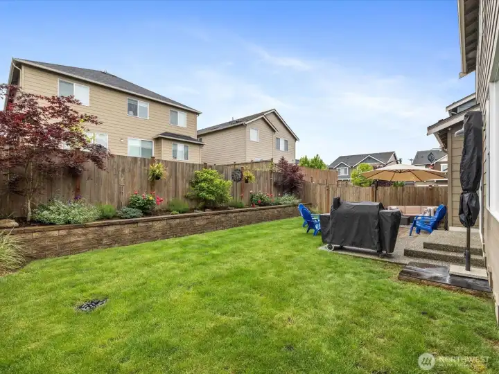 Beautiful Ownership In Yard