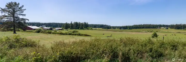 Protected, territorial views across farmland from the deck.