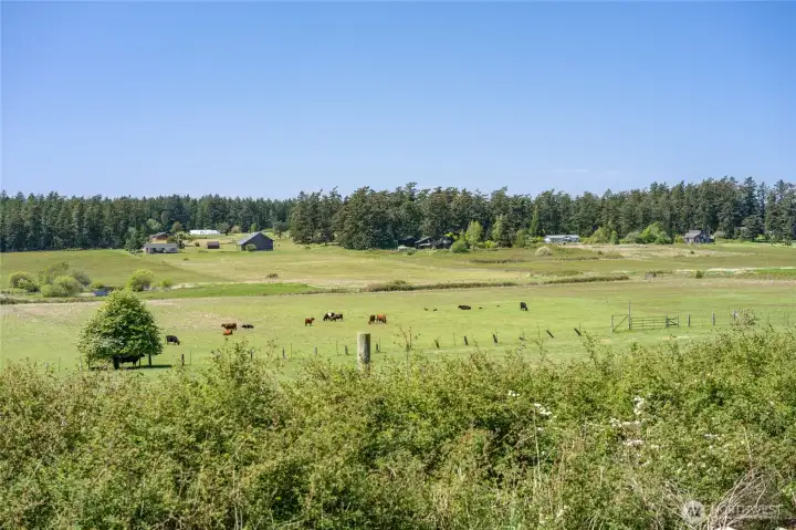 Deck view west over protected farmland.