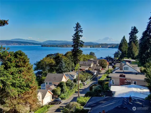 Yep. That's Magnuson Park and Mount Rainier in the distance.  (Photograph taken from the second level of the existing house. Facing south).