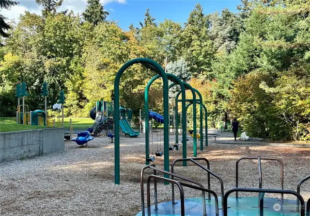 Matthews Beach Park also has a terrific children's playground for sliding and swinging.