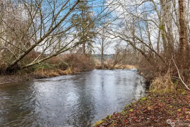 Riverfront of Little Quilcene River