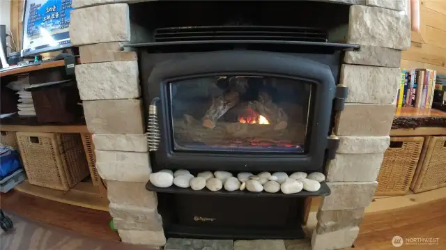 Gas fireplace