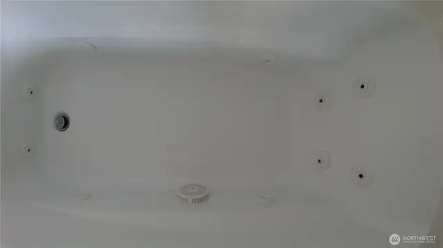 Main bath jetted tub