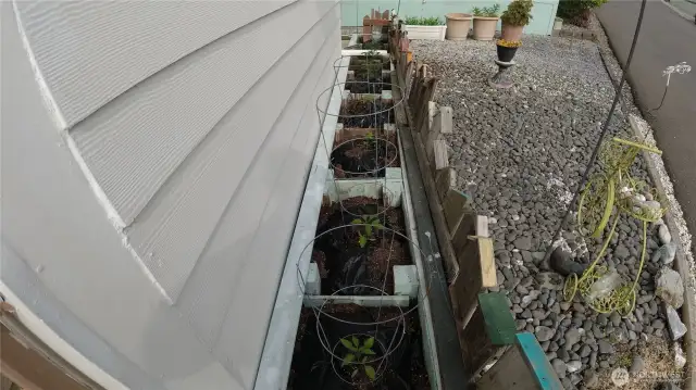 Garden space at front of unit