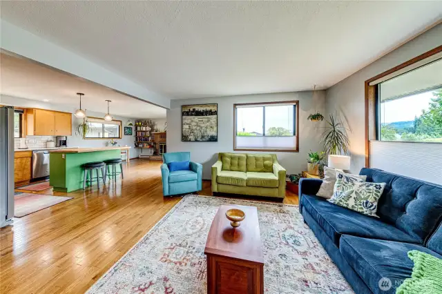 Expansive Livng Room