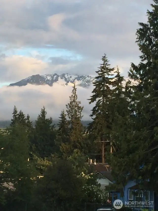 Mountain View from Backyard