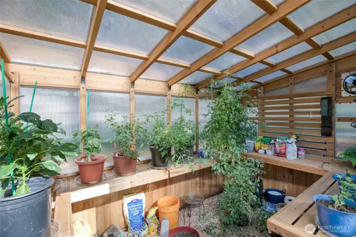 Inside the green house has a window and a fan