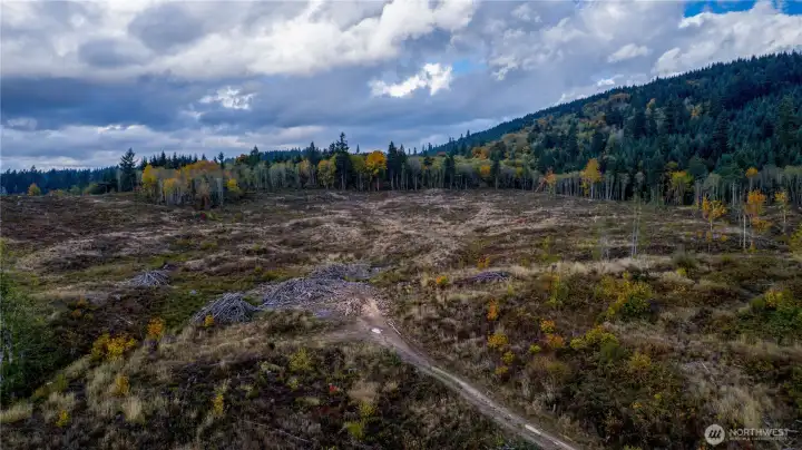 There are cleared and level areas on the property.