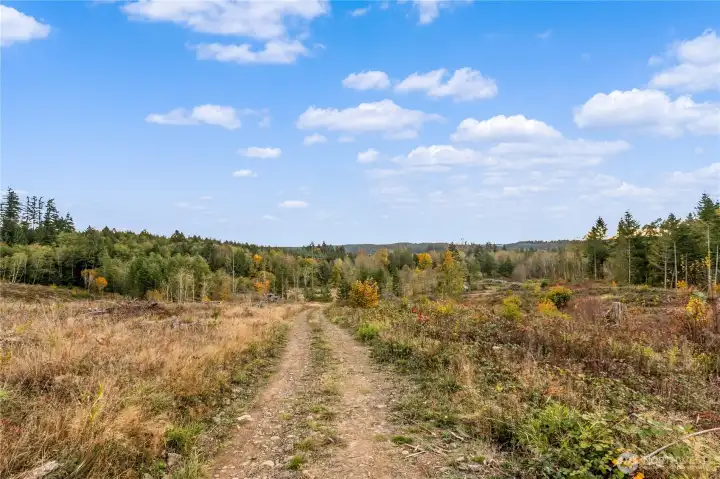 Looking to the south from one of the level areas