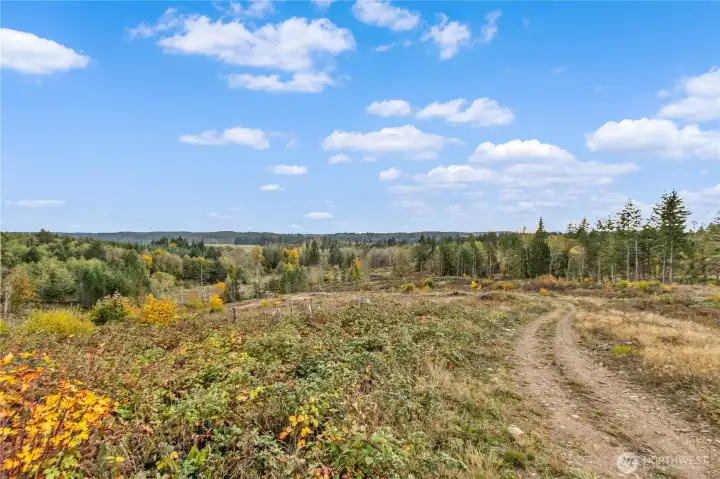 Many options for building sites