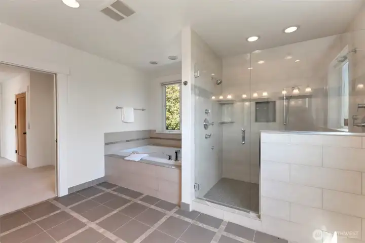 Walk in shower and jetted tub