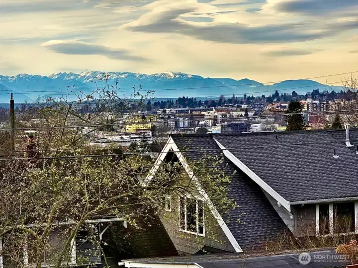 Olympic Mountain & Ship Canal views from deck, kitchen & main floor bedroom.