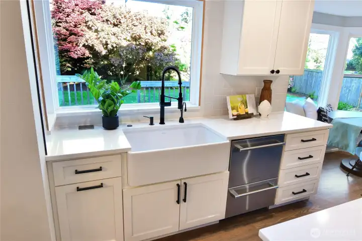 Drawer dishwasher with a view