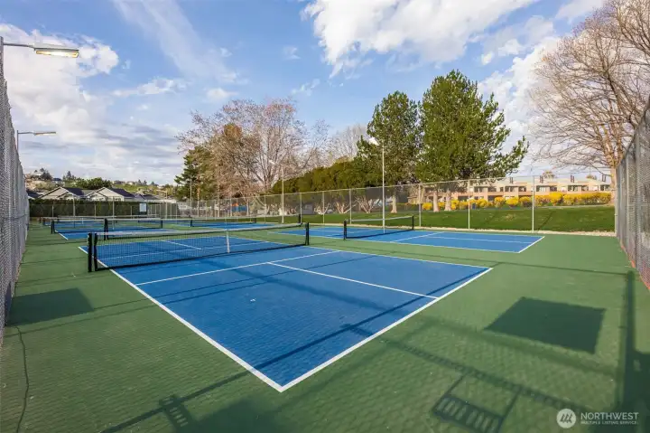 Pickle Ball Court