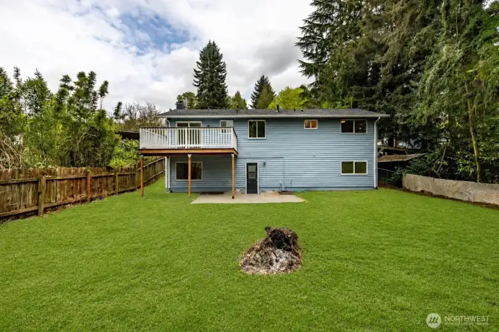 AI used for added Sod in backyard.