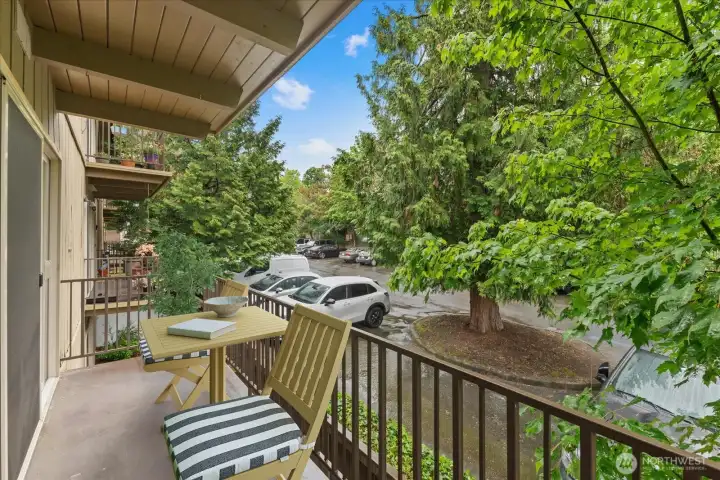 Virtually staged covered balcony.
