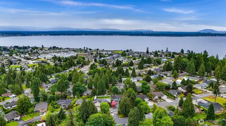 Birch Bay Village Birch Bay Village