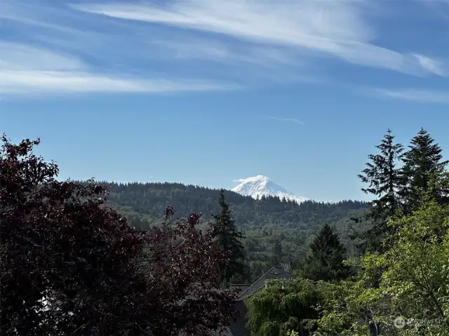 Majestic Mt. Rainier from both the deck & one bedroom