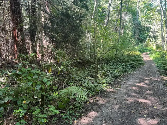 Cappy's trails on Hendricks Street