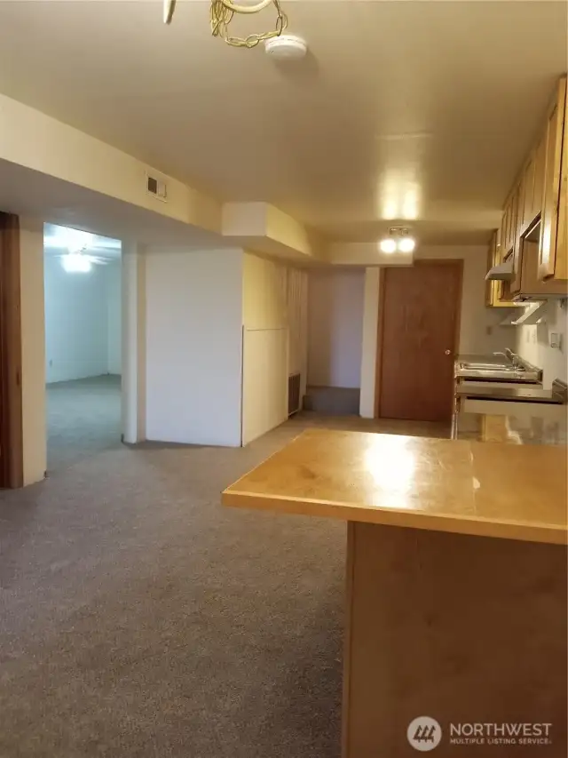 Basement Kitchen